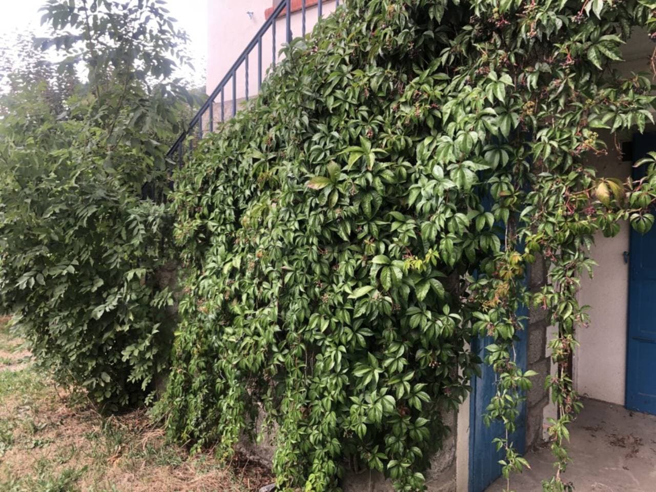 Pis en venda Osseja - Thumbnail 5