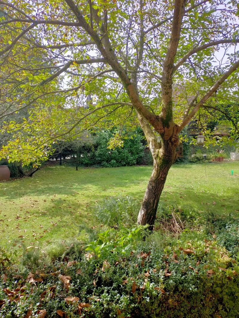 Casa unifamiliar a Aravell - Thumbnail 7