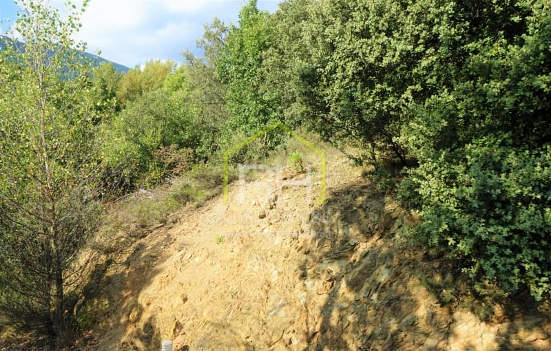 Parcel·la a Ballestar - Thumbnail 3