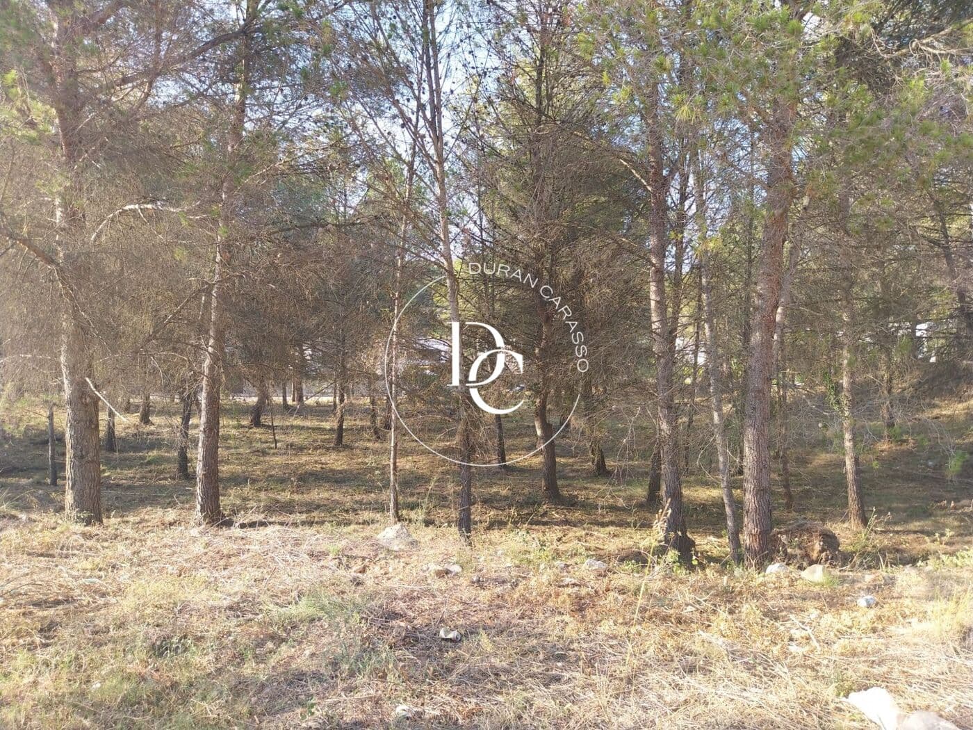 Venda a Sant Pere de Ribes - Thumbnail 17