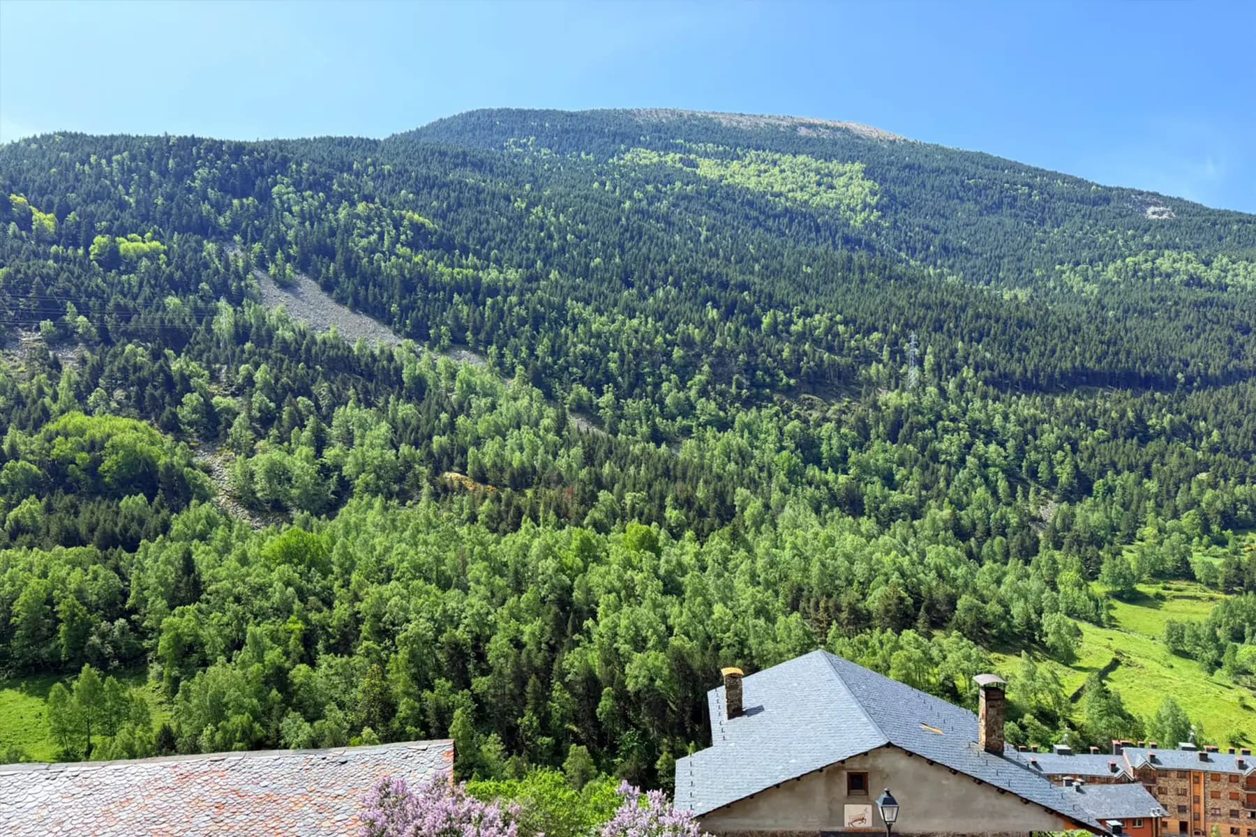 Magnífic pis d´aproximadament 85 m2 que combina - Thumbnail 14