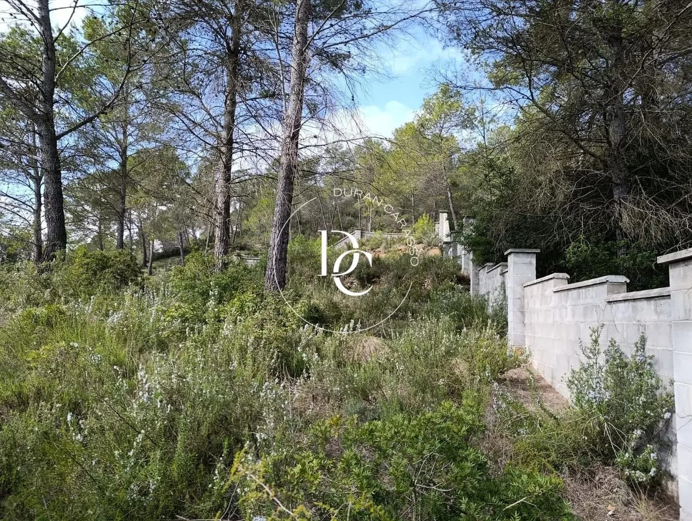 Venda a Olivella - Thumbnail 2