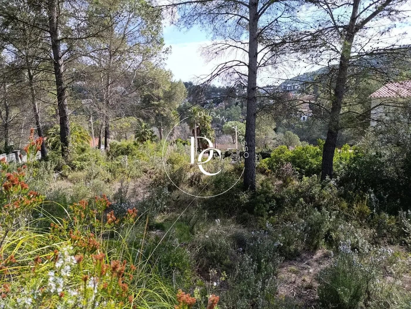 Venda a Olivella - Thumbnail 8