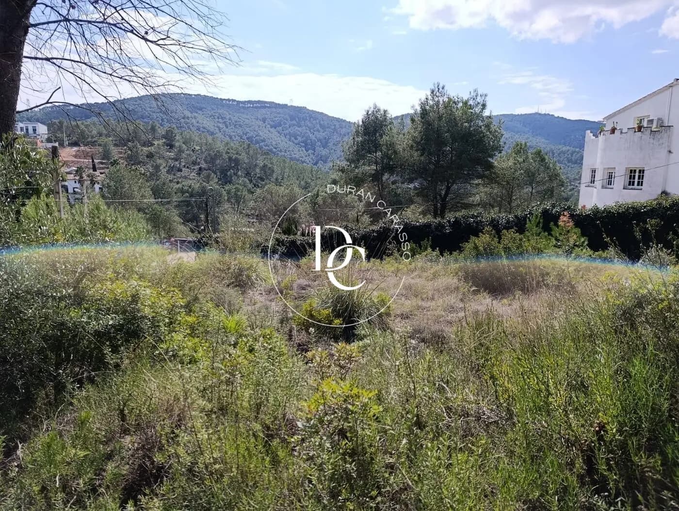 Venda a Olivella - Image 1