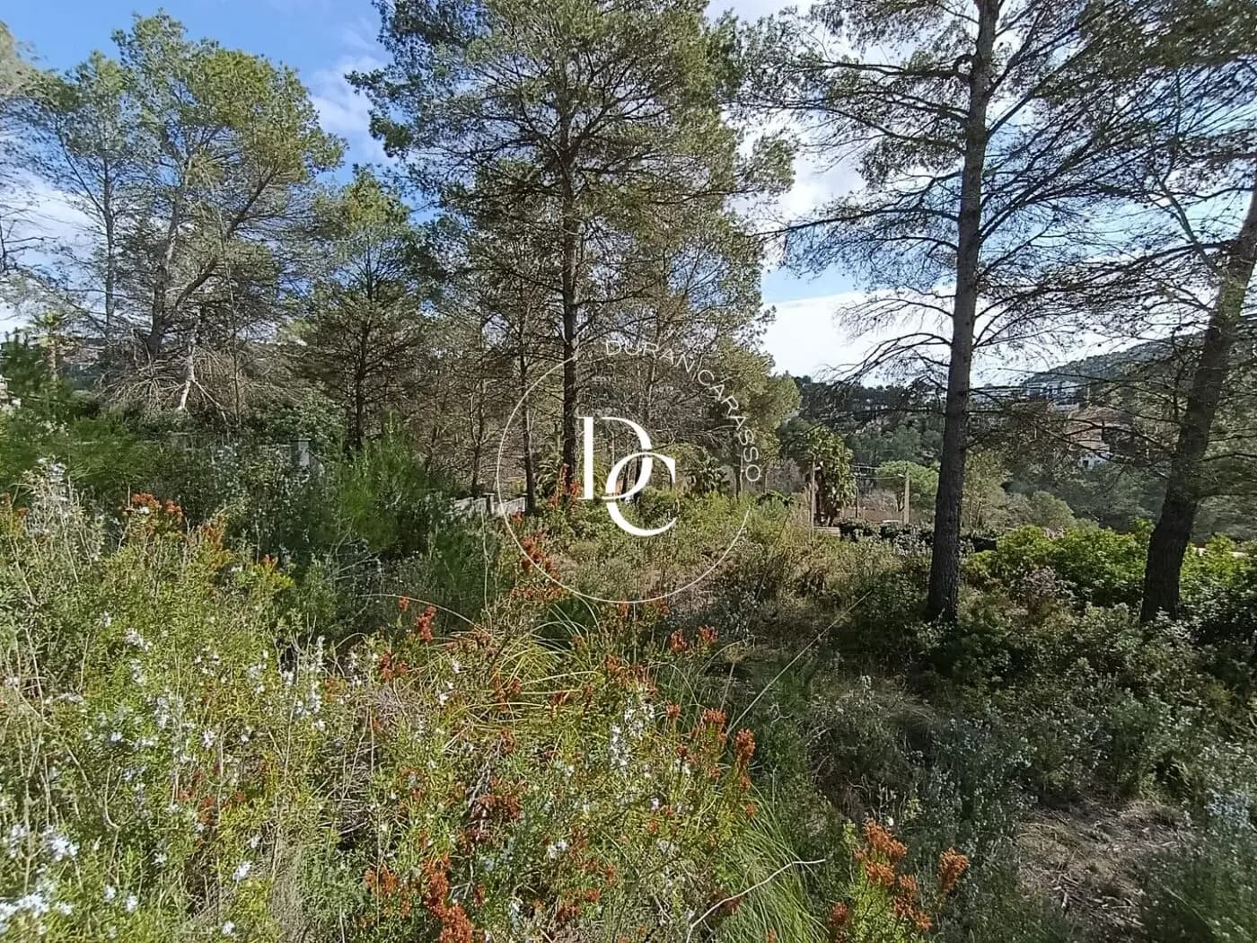 Venda a Olivella - Thumbnail 16