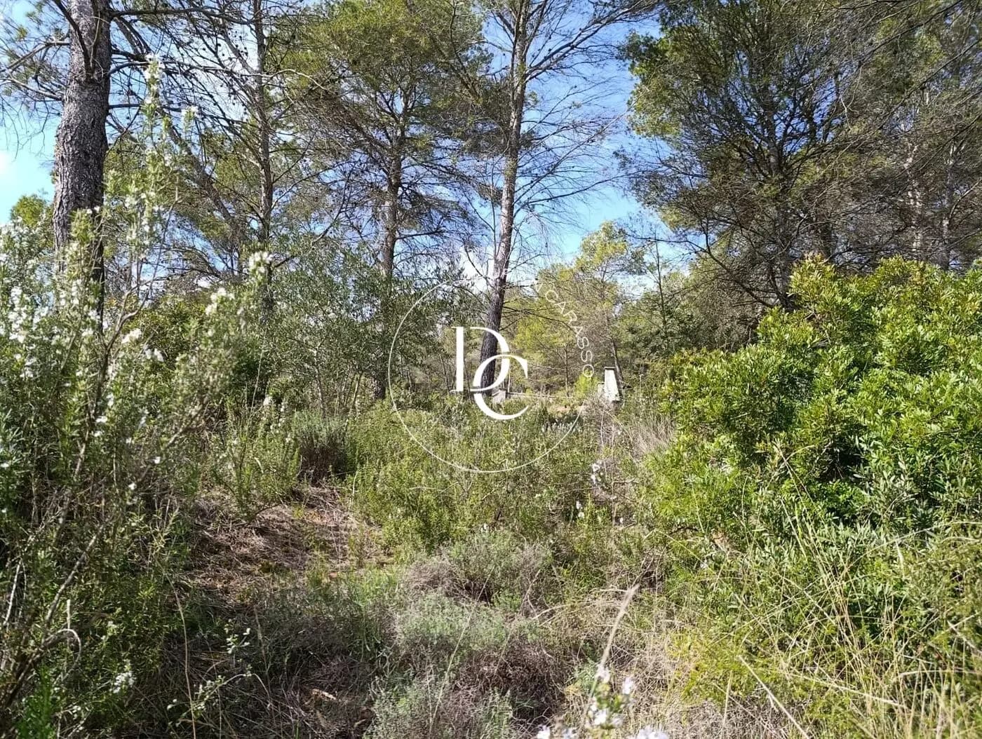 Venda a Olivella - Thumbnail 17
