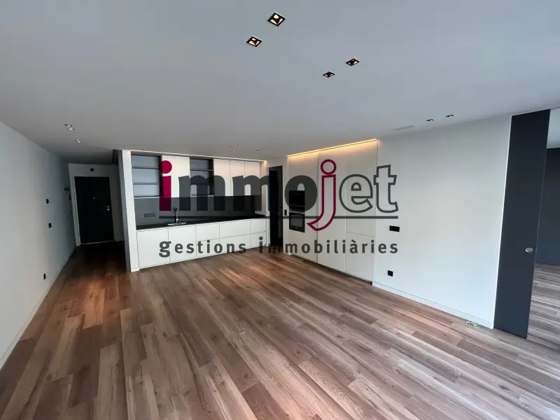 Pis exclusiu d’obra nova al cor d’Andorra la Vella